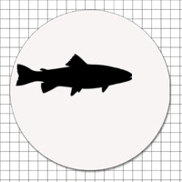 Cartel adhesivo circular (3 cm) - Pescado