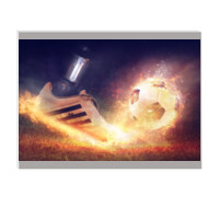 Cuadro (cartón pluma) - La mecánica del fútbol