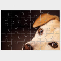 Puzzle (30 piezas) - La mirada del perro